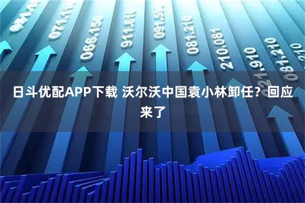 日斗优配APP下载 沃尔沃中国袁小林卸任？回应来了