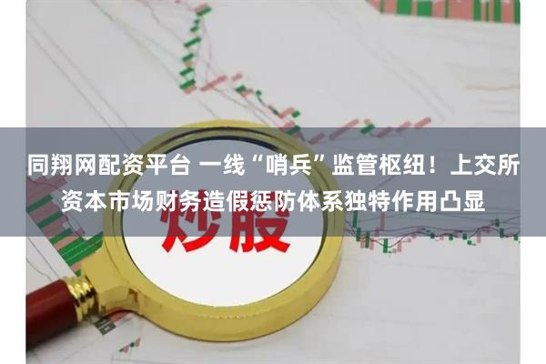 同翔网配资平台 一线“哨兵”监管枢纽！上交所资本市场财务造假惩防体系独特作用凸显
