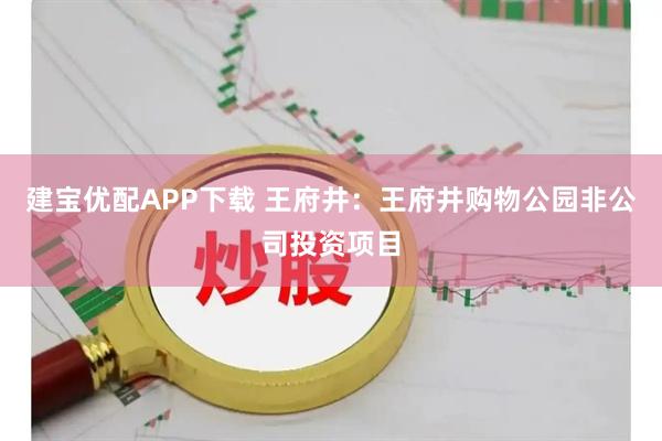 建宝优配APP下载 王府井：王府井购物公园非公司投资项目